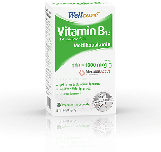 Wellcare Vitamin B12 1000 MCG