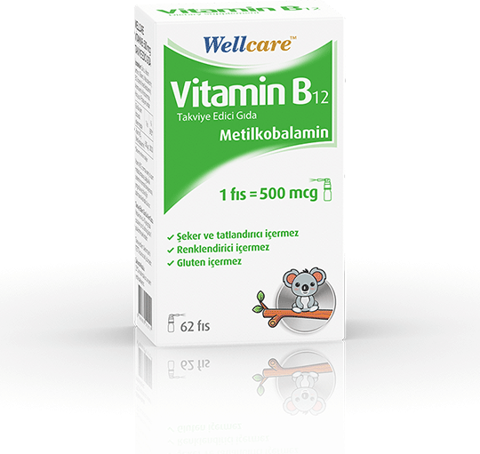 Wellcare Vitamin B₁₂ 500 MCG