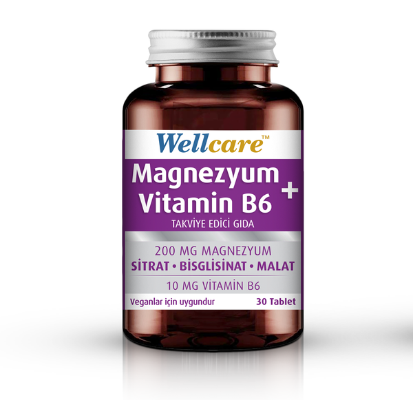 Wellcare Magnezyum + Vitamin B₆ 30 Tablet